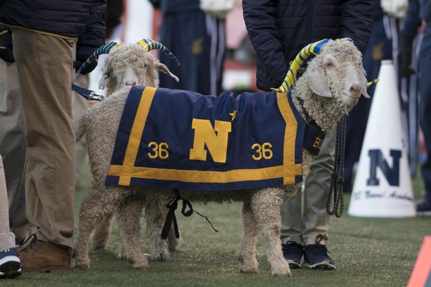 bill-the-goat-the-goat-of-college-football-front-porch-football